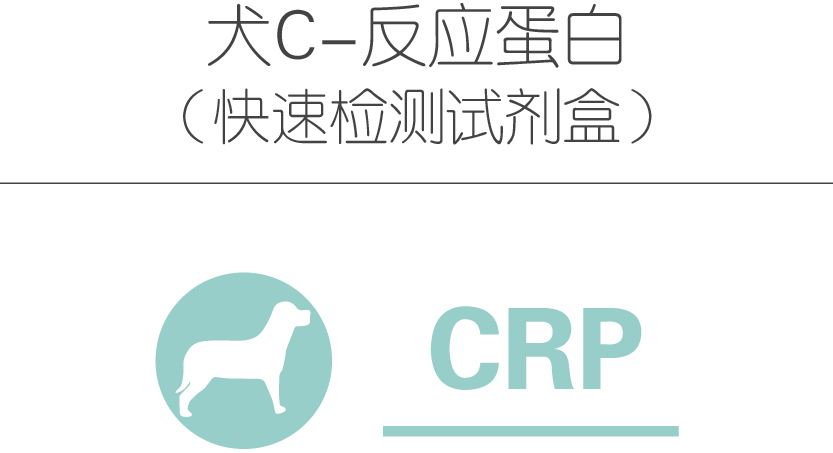 犬C-反应蛋白